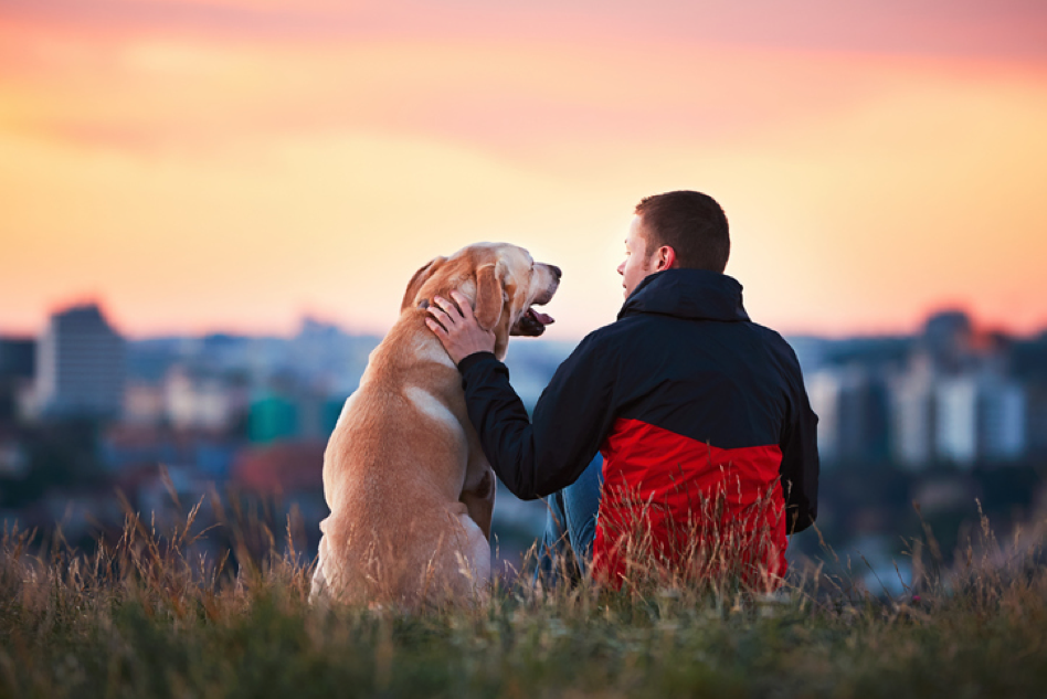 How to Pick the Right Veterinarian for Your Pet